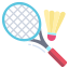Badminton court sports